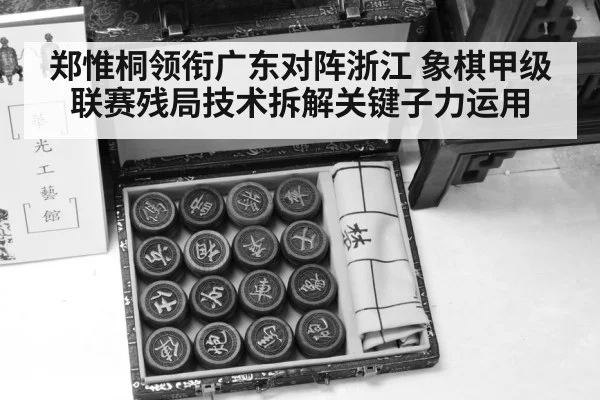 chinese chess pieces